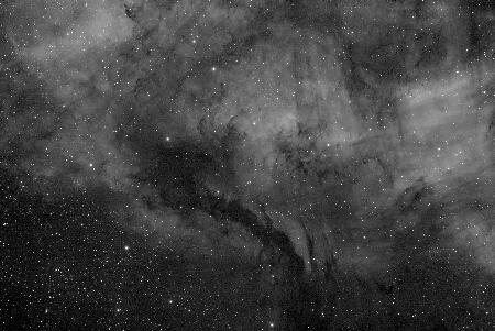 NGC7000SOUTH, 2024-08-29, 43x200L, APO100Q, (CV), Toupcam_bin2x2.jpg
